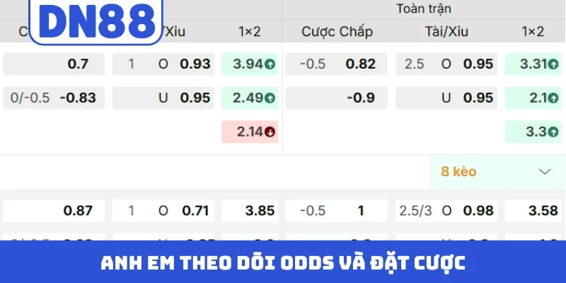 Anh em theo dõi odds và đặt cược
