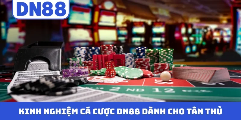 Kinh nghiệm cá cược DN88 dành cho tân thủ