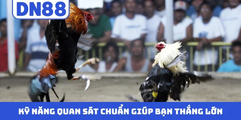 Kỹ năng quan sát chuẩn giúp bạn thắng lớn