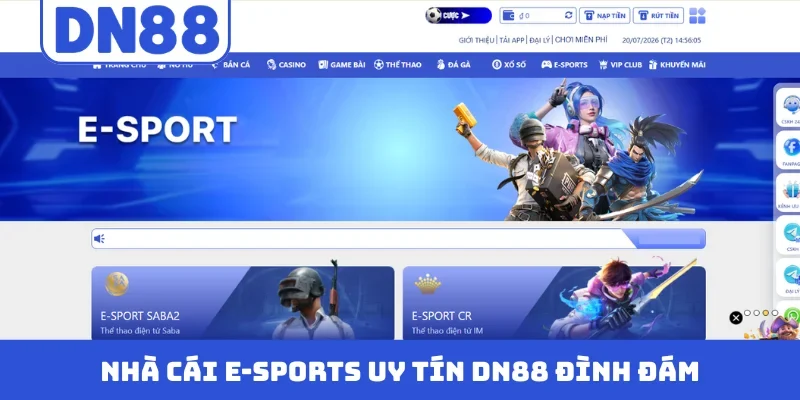 Nhà cái E-sports uy tín DN88 đình đám