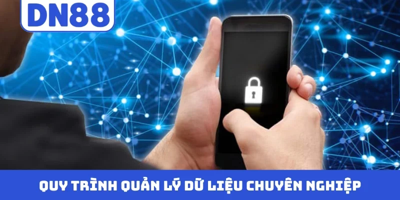 Quy trình quản lý dữ liệu chuyên nghiệp
