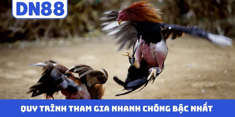 Quy trình tham gia nhanh chóng bậc nhất