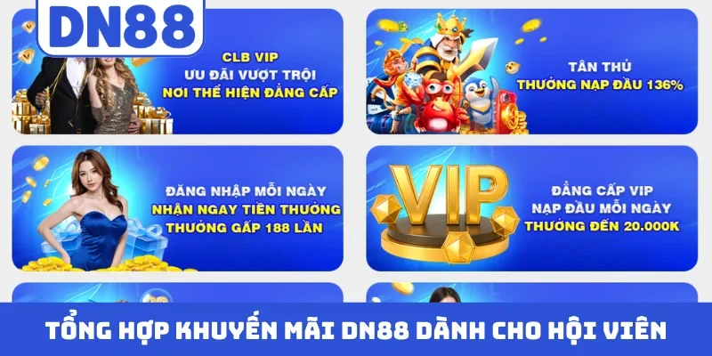 Tổng hợp khuyến mãi DN88 dành cho hội viên
